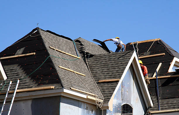 Best Metal Roofing Contractor  in Colusa, CA